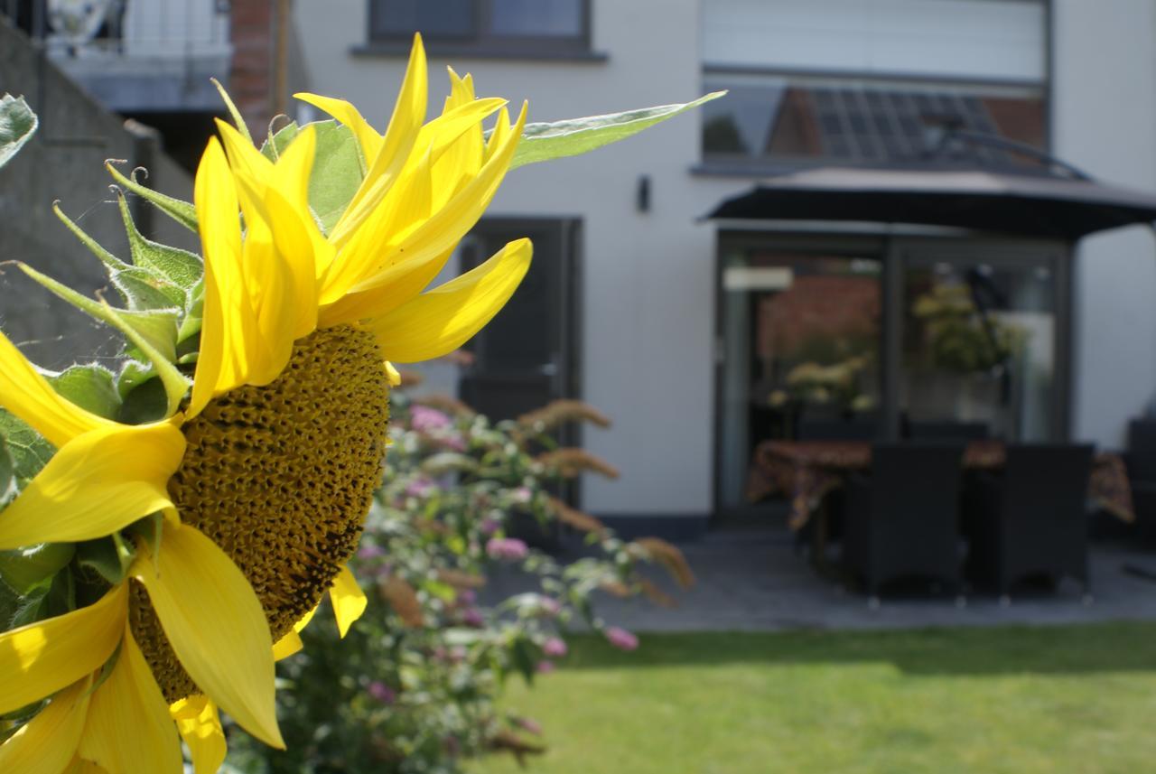 B&B Klinkaart Rumst Exterior foto
